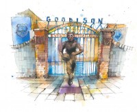 Ian Fennelly - Goodison 22W